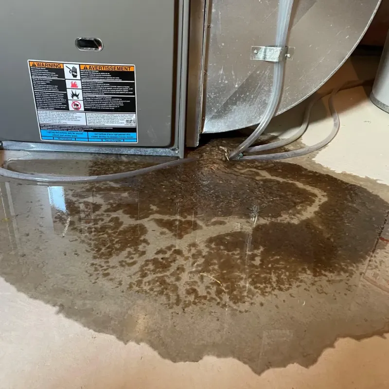 Appliance Leak Cleanup in Prairie Heights, WA